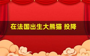 在法国出生大熊猫 投降